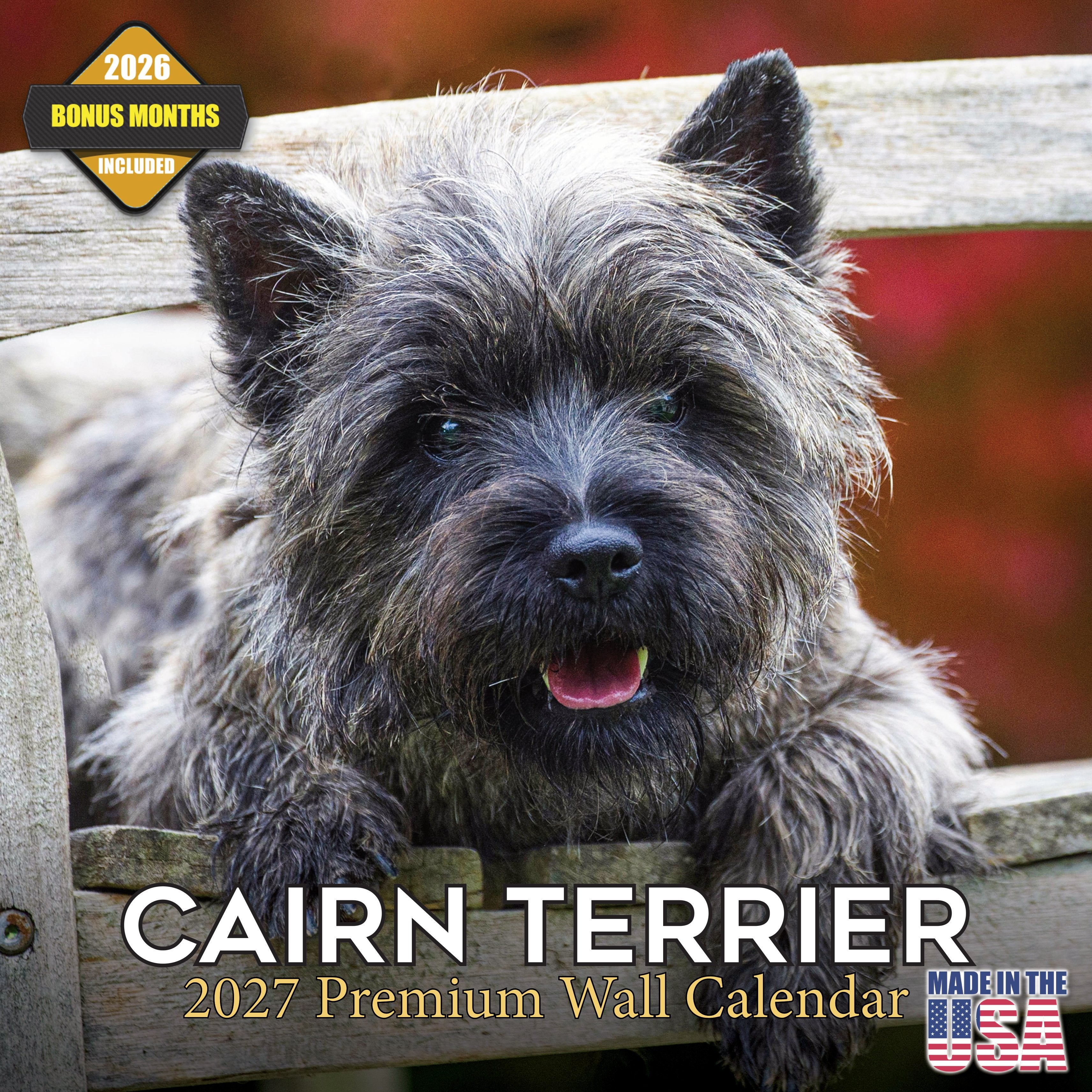 Cairn Terrier Wall Calendar 2027 - 12