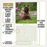 Cairn Terrier Wall Calendar 2027 - 12" x 12" Monthly Hardy Alert Scottish Terrier Breed Calendar