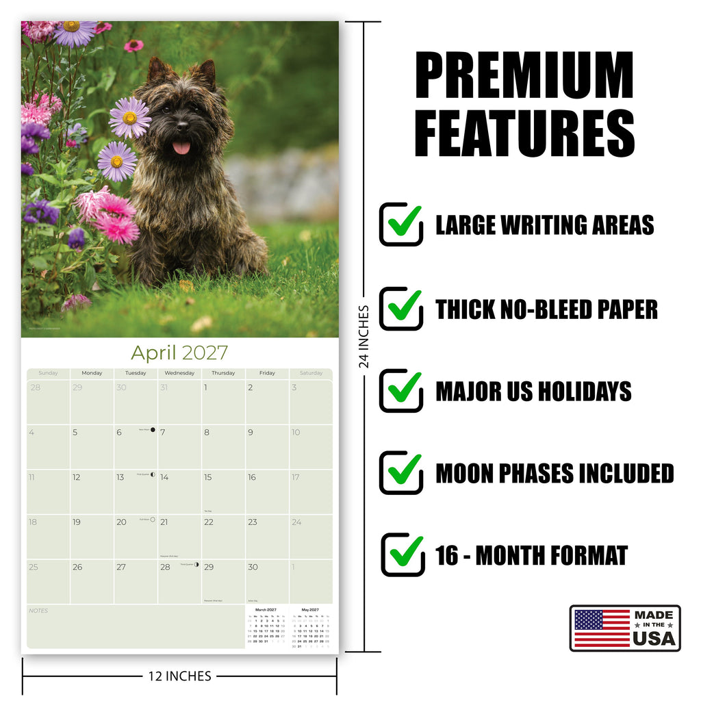 Cairn Terrier Wall Calendar 2027 - 12" x 12" Monthly Hardy Alert Scottish Terrier Breed Calendar