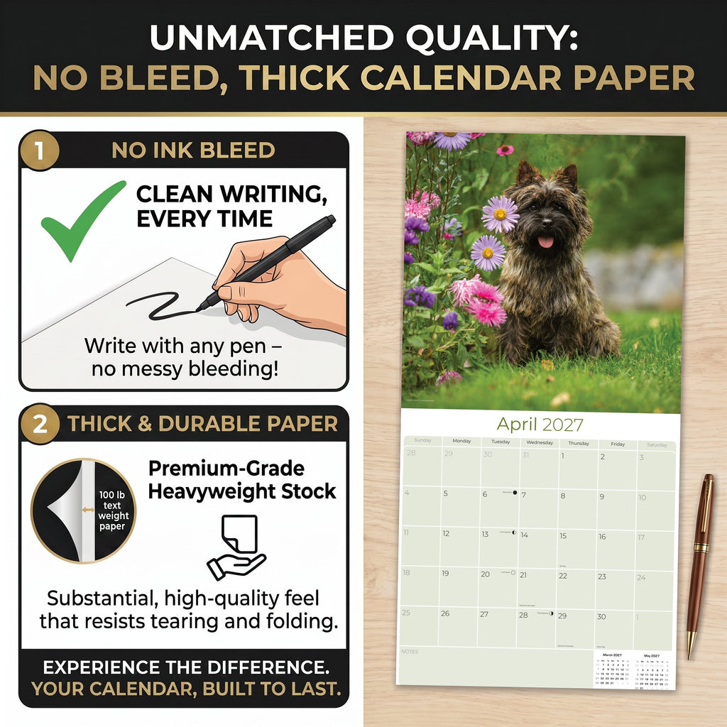 Cairn Terrier Wall Calendar 2027 - 12" x 12" Monthly Hardy Alert Scottish Terrier Breed Calendar