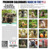 Cairn Terrier Wall Calendar 2027 - 12" x 12" Monthly Hardy Alert Scottish Terrier Breed Calendar