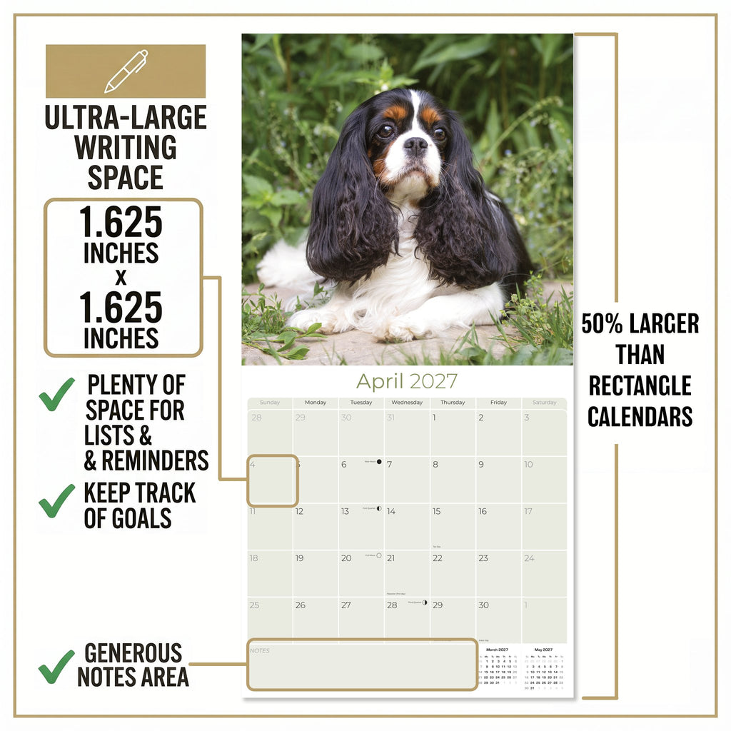 Cavalier King Charles Spaniel Wall Calendar 2027 - 12" x 12" Monthly Gentle Royal Toy Spaniel Breed Calendar