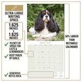 Cavalier King Charles Spaniel Wall Calendar 2027 - 12" x 12" Monthly Gentle Royal Toy Spaniel Breed Calendar