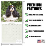 Cavalier King Charles Spaniel Wall Calendar 2027 - 12" x 12" Monthly Gentle Royal Toy Spaniel Breed Calendar