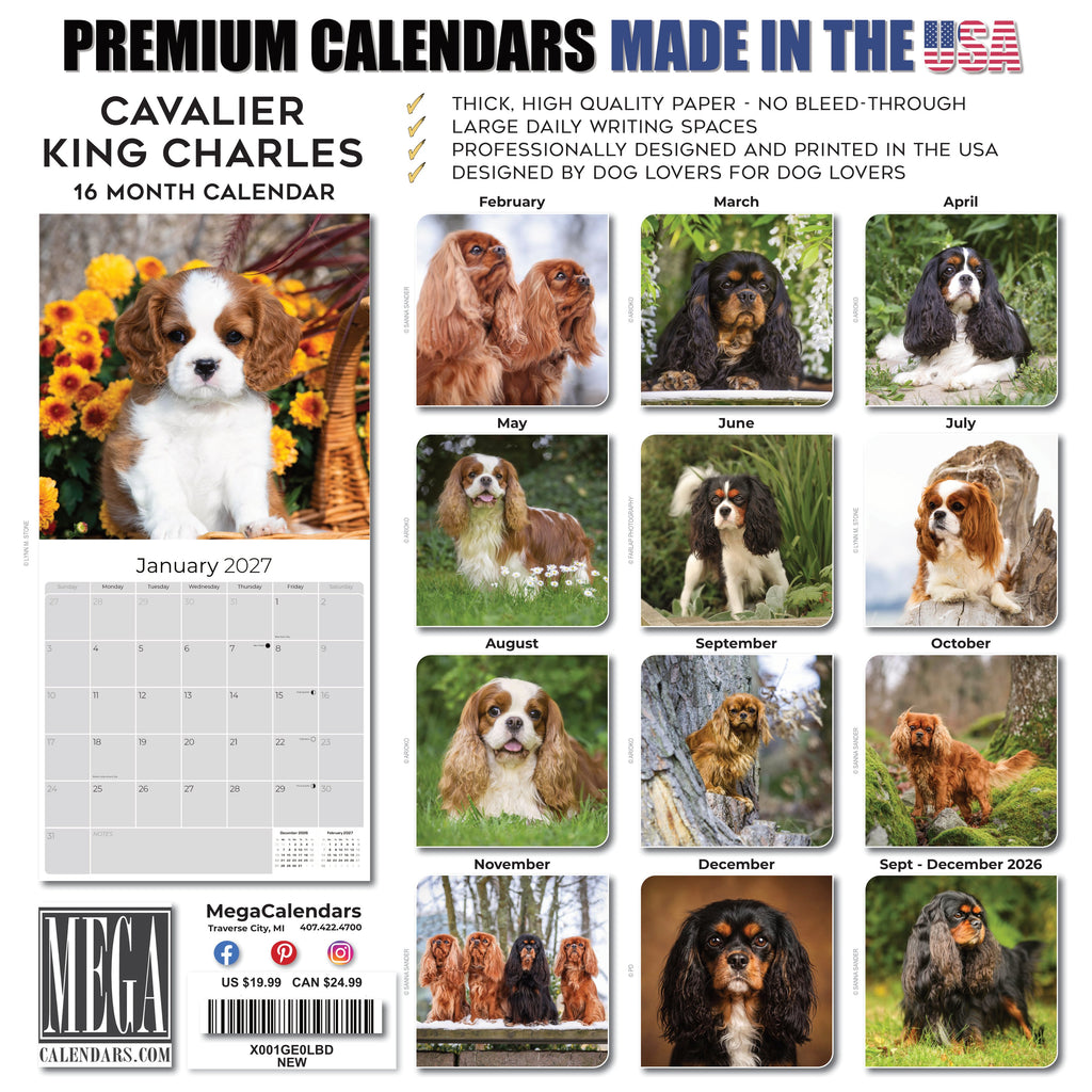 Cavalier King Charles Spaniel Wall Calendar 2027 - 12" x 12" Monthly Gentle Royal Toy Spaniel Breed Calendar