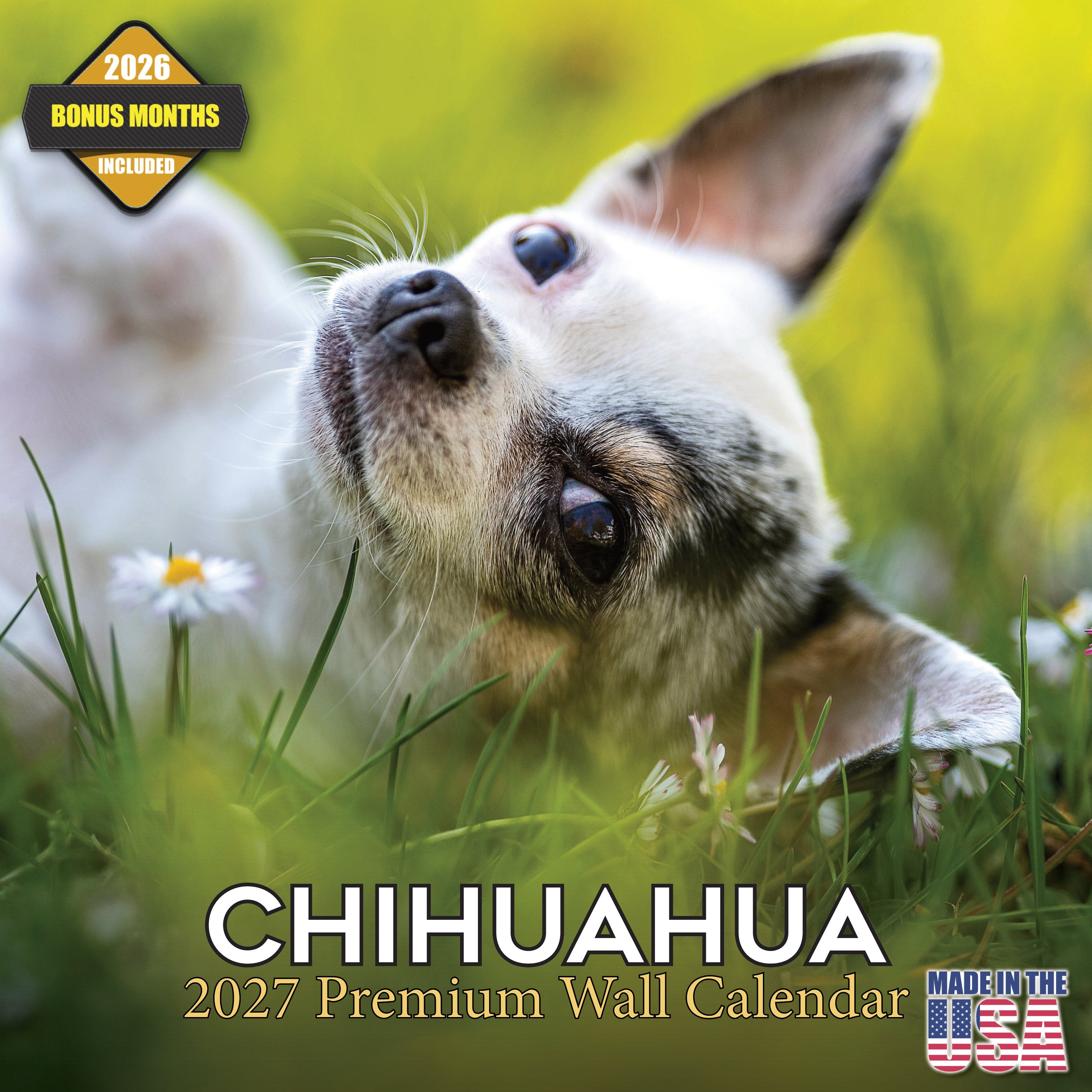 Chihuahua Wall Calendar 2027 - 12