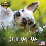 Chihuahua Wall Calendar 2027 - 12" x 12" Monthly Sassy Tiny Toy Dog Breed Calendar