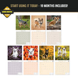 Chihuahua Wall Calendar 2027 - 12" x 12" Monthly Sassy Tiny Toy Dog Breed Calendar