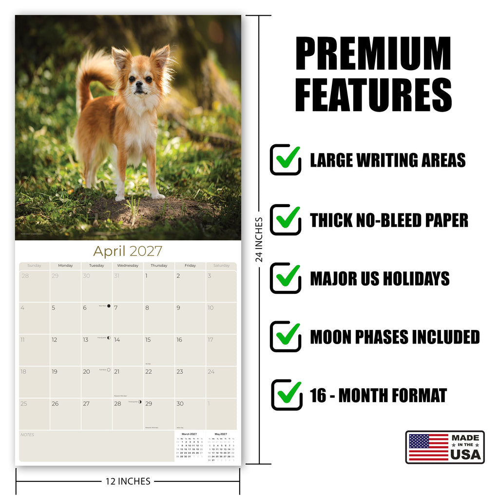 Chihuahua Wall Calendar 2027 - 12" x 12" Monthly Sassy Tiny Toy Dog Breed Calendar