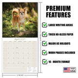 Chihuahua Wall Calendar 2027 - 12" x 12" Monthly Sassy Tiny Toy Dog Breed Calendar
