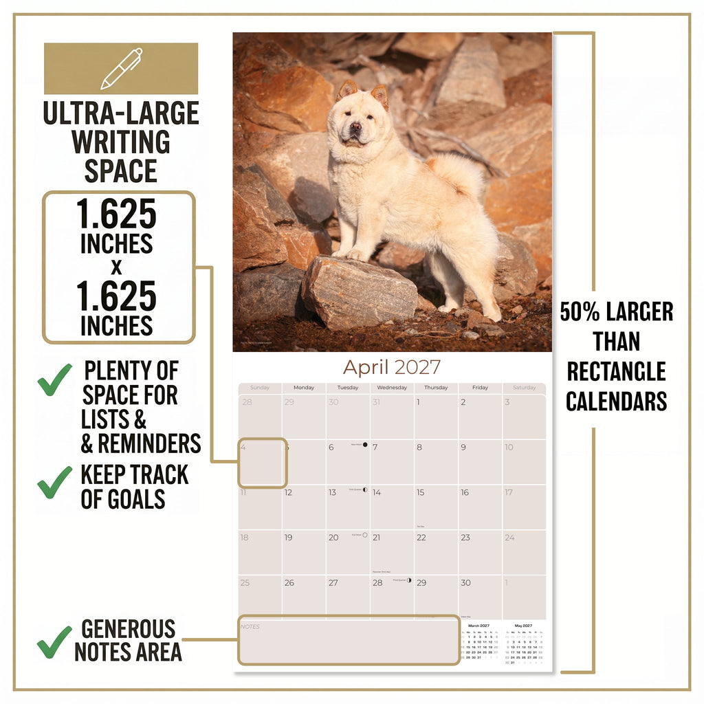 Chow Chow Wall Calendar 2027 - 12" x 12" Monthly Dignified & Proud Chow Chow Dog Breed Calendar