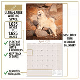 Chow Chow Wall Calendar 2027 - 12" x 12" Monthly Dignified & Proud Chow Chow Dog Breed Calendar