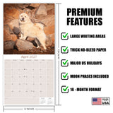 Chow Chow Wall Calendar 2027 - 12" x 12" Monthly Dignified & Proud Chow Chow Dog Breed Calendar