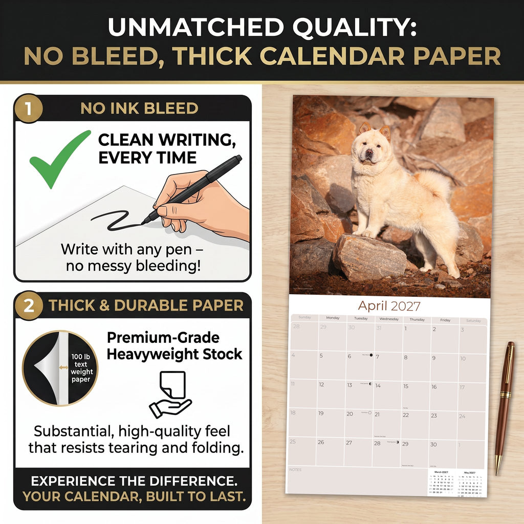 Chow Chow Wall Calendar 2027 - 12" x 12" Monthly Dignified & Proud Chow Chow Dog Breed Calendar