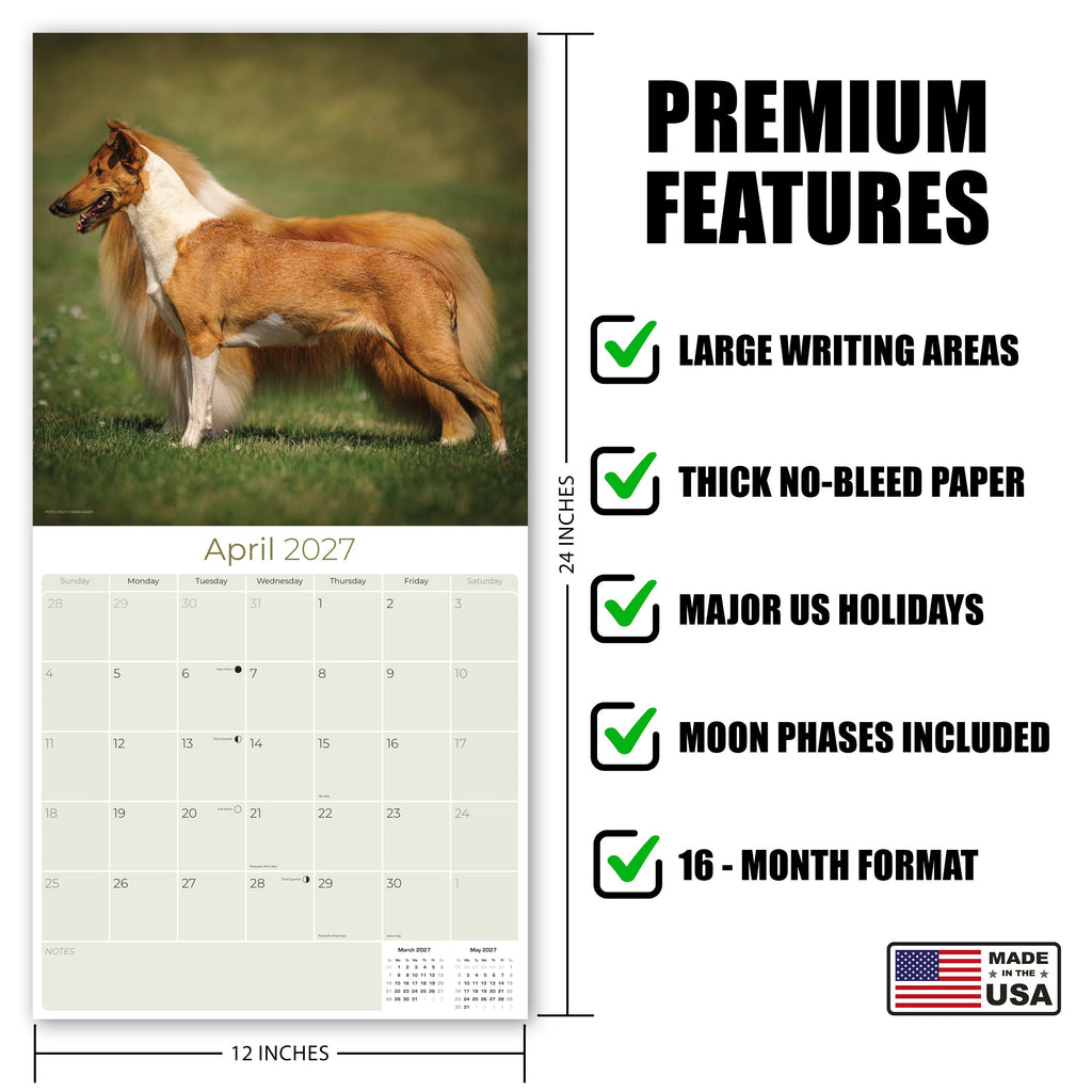 Collie Wall Calendar 2027 - 12" x 12" Monthly Noble & Majestic Rough Collie Herding Calendar