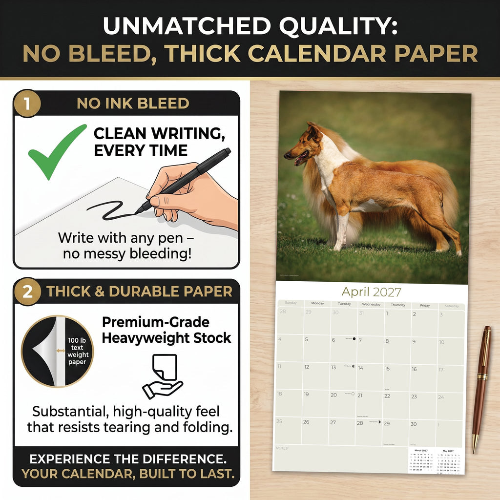 Collie Wall Calendar 2027 - 12" x 12" Monthly Noble & Majestic Rough Collie Herding Calendar