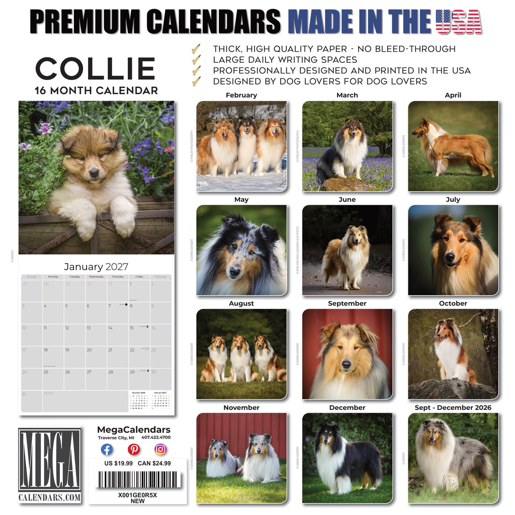 Collie Wall Calendar 2027 - 12" x 12" Monthly Noble & Majestic Rough Collie Herding Calendar