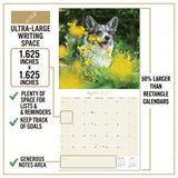 Corgi Wall Calendar 2027 - 12" x 12" Monthly Playful Pembroke & Cardigan Welsh Corgi Herding Calendar