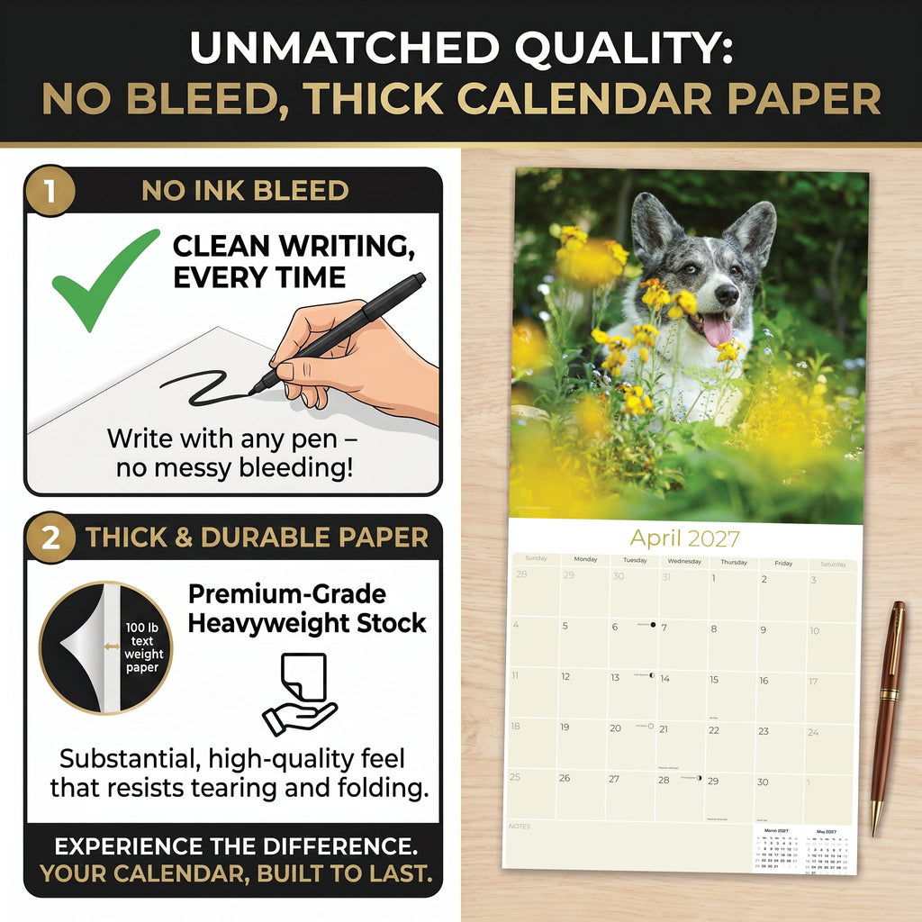 Corgi Wall Calendar 2027 - 12" x 12" Monthly Playful Pembroke & Cardigan Welsh Corgi Herding Calendar