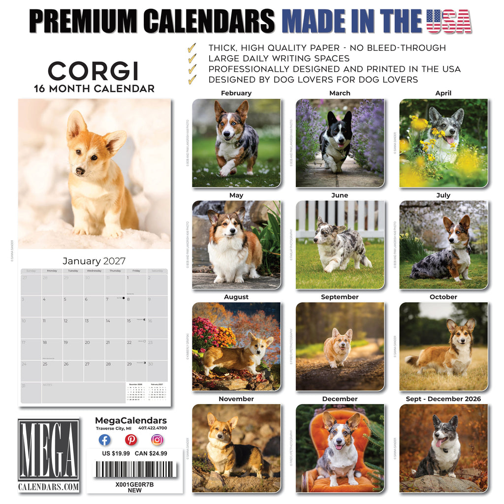 Corgi Wall Calendar 2027 - 12" x 12" Monthly Playful Pembroke & Cardigan Welsh Corgi Herding Calendar