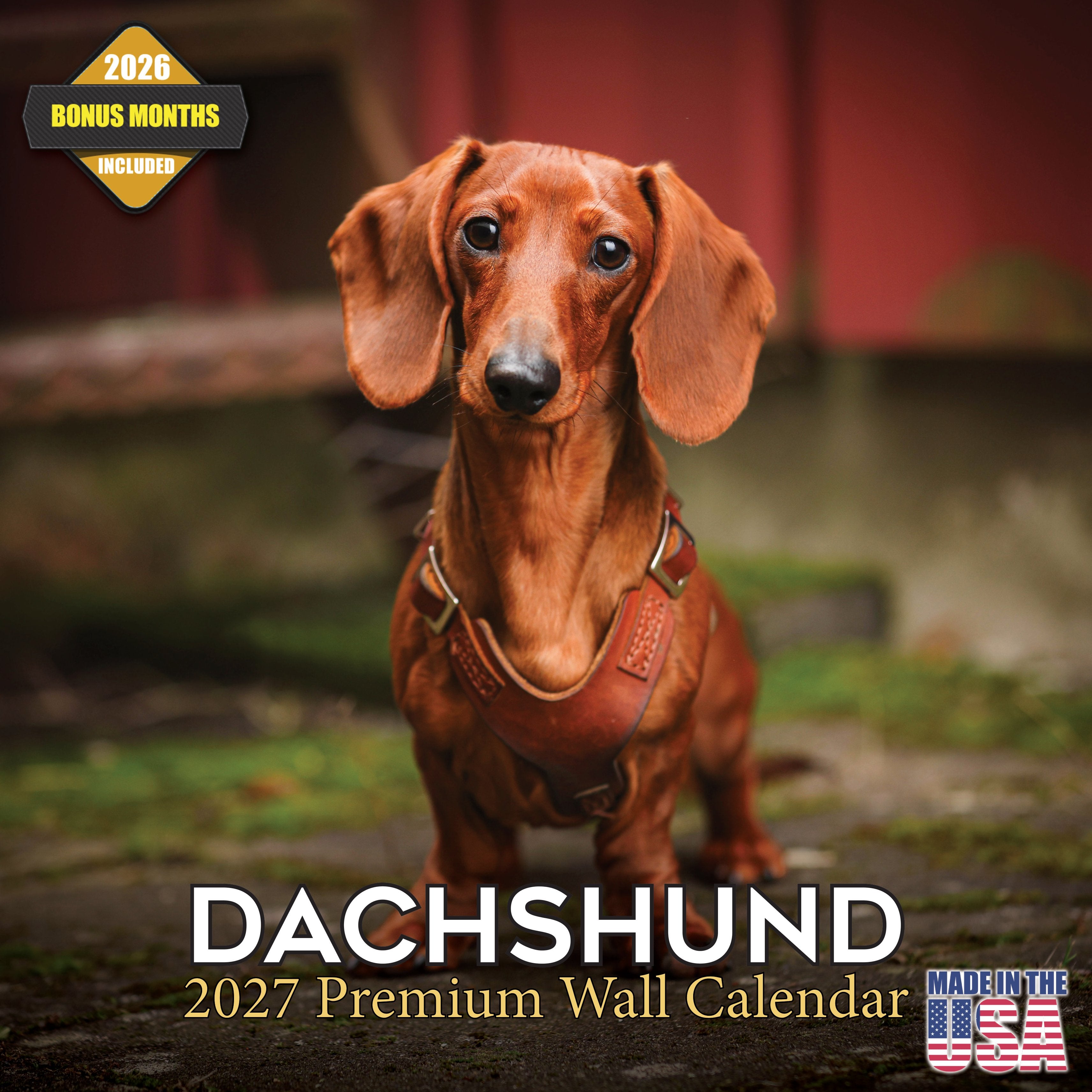 Dachshund Wall Calendar 2027 - 12