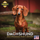 Dachshund Wall Calendar 2027 - 12" x 12" Monthly Clever Smooth & Long Badger Hound Dog Breed Calendar