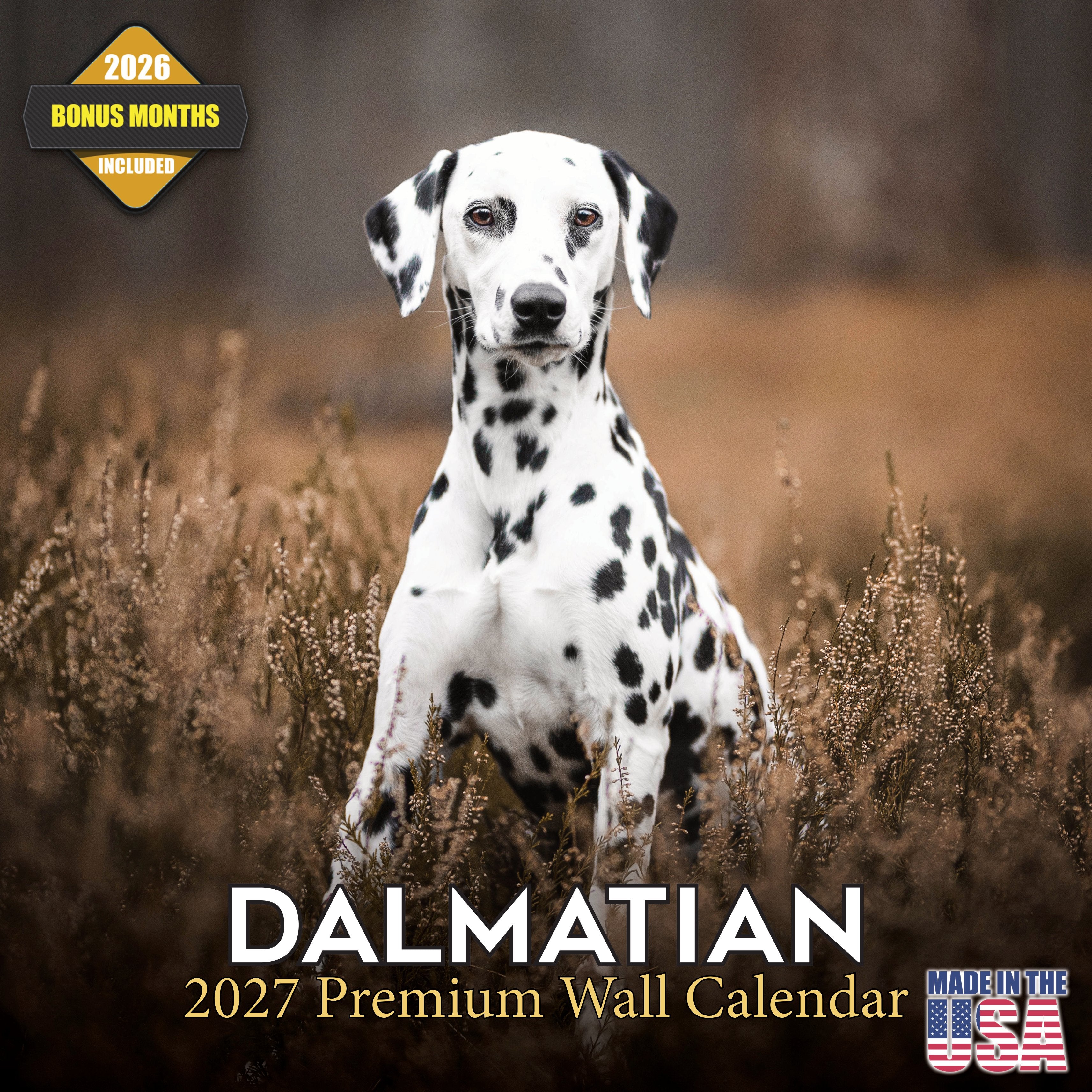 Dalmatian Wall Calendar 2027 - 12
