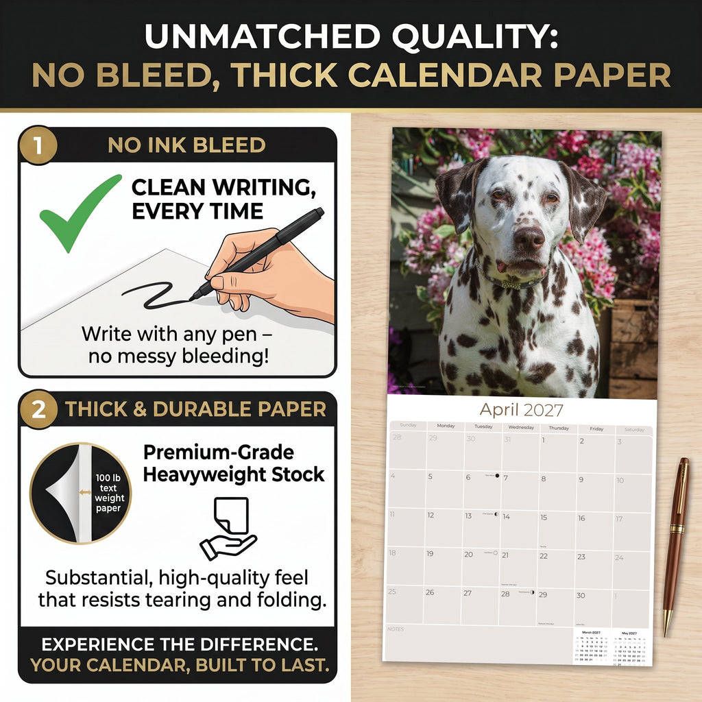 Dalmatian Wall Calendar 2027 - 12" x 12" Monthly Sleek Spotted Coach & Firehouse Dog Breed Calendar