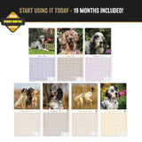 English Setter Wall Calendar 2027 - 12" x 12" Monthly Elegant Feathered Belton & English Setter Gundog Calendar