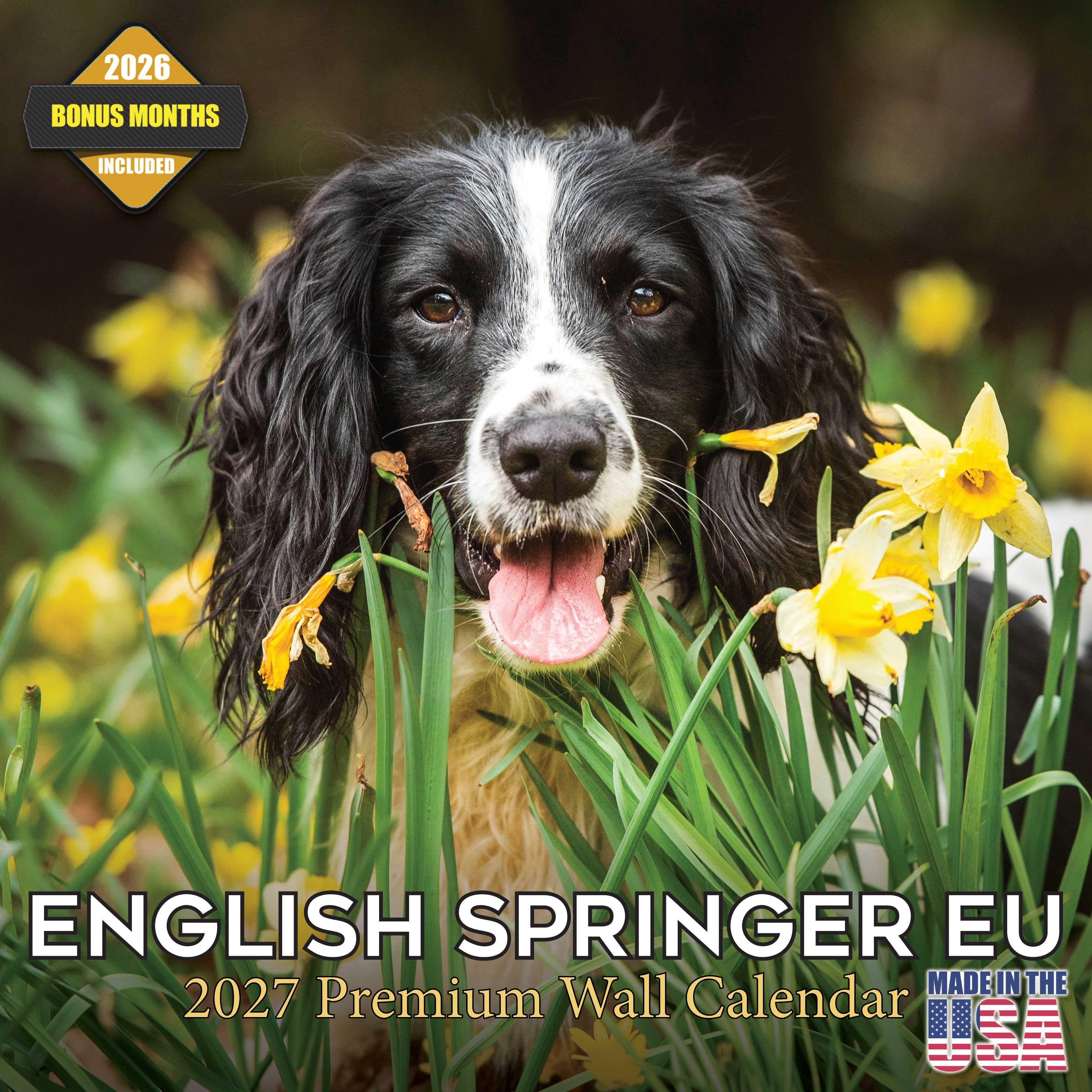 English Springer Spaniel (Euro) Wall Calendar 2027 - 12