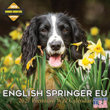 English Springer Spaniel (Euro) Wall Calendar 2027 - 12" x 12" Monthly Athletic European Springer Spaniel Field Dog Calendar