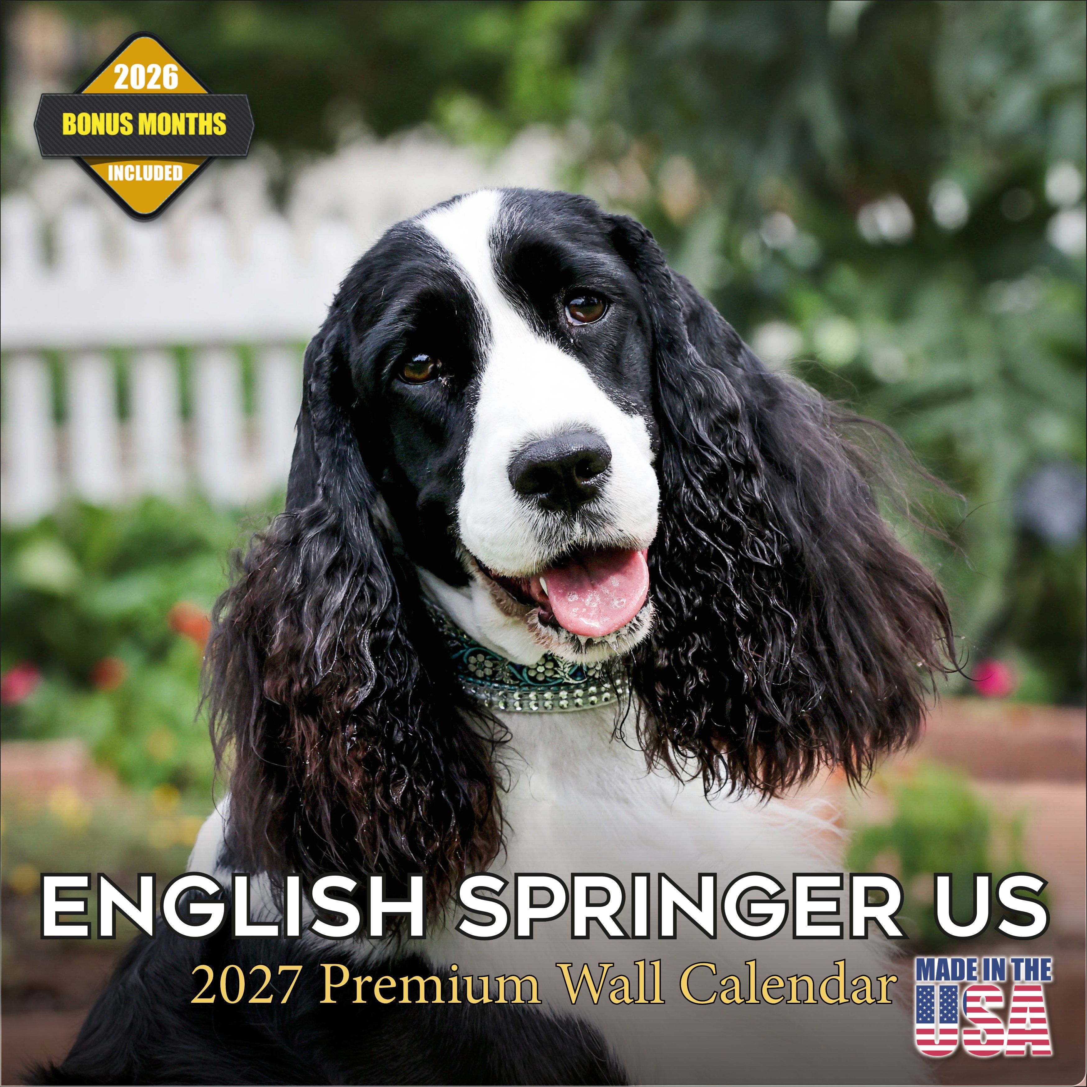 English Springer Spaniel (US) Wall Calendar 2027 - 12