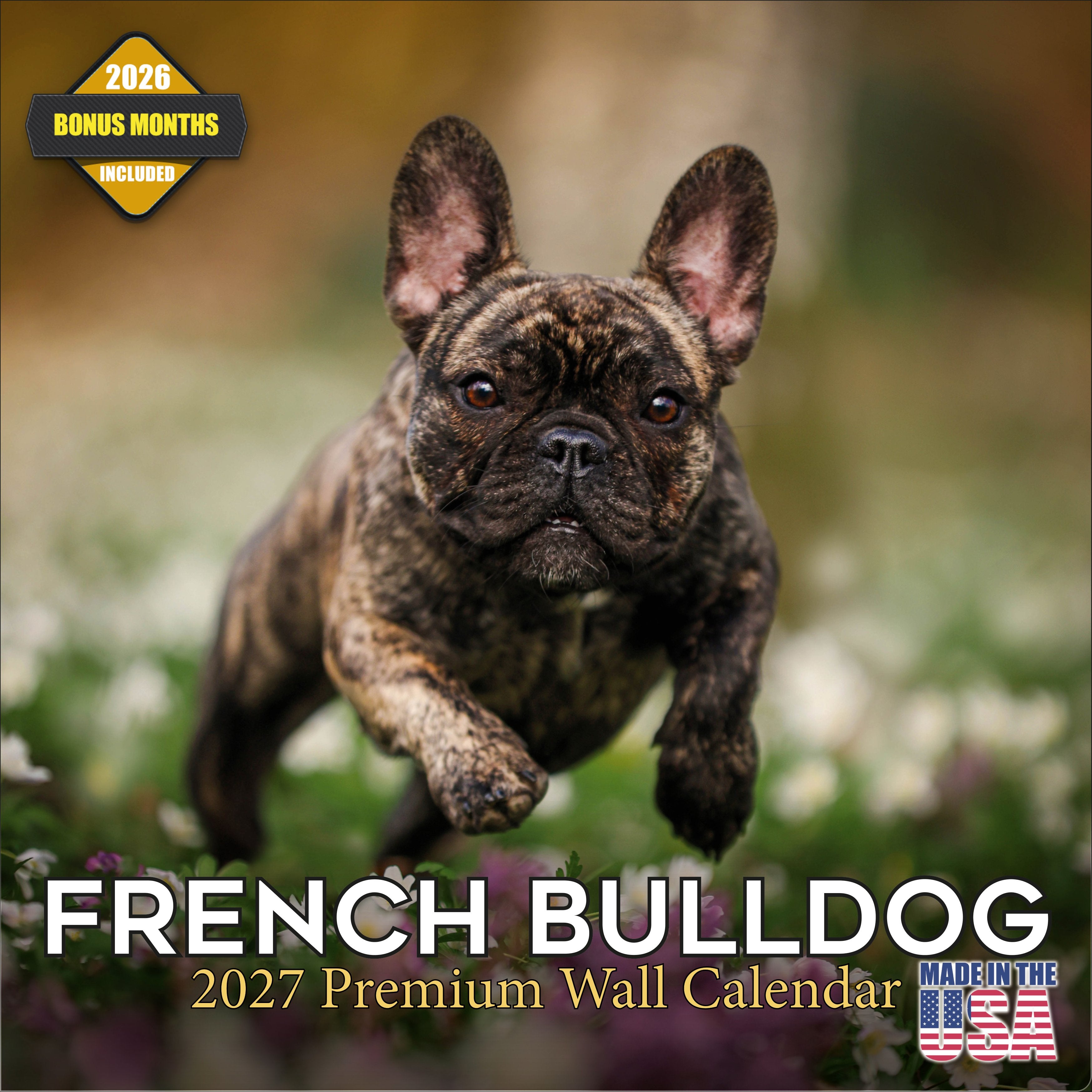 French Bulldog Wall Calendar 2027 - 12