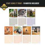 French Bulldog Wall Calendar 2027 - 12" x 12" Monthly Affectionate Frenchie & Bat-Eared Companion Dog Calendar