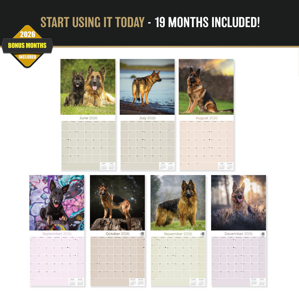 German Shepherd Wall Calendar 2027 - 12" x 12" Monthly Noble Guardian & Intelligent GSD Working Breed Calendar