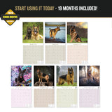 German Shepherd Wall Calendar 2027 - 12" x 12" Monthly Noble Guardian & Intelligent GSD Working Breed Calendar