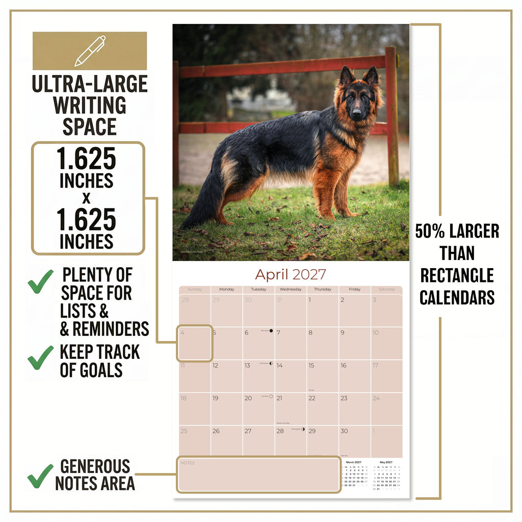 German Shepherd Wall Calendar 2027 - 12" x 12" Monthly Noble Guardian & Intelligent GSD Working Breed Calendar