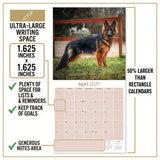 German Shepherd Wall Calendar 2027 - 12" x 12" Monthly Noble Guardian & Intelligent GSD Working Breed Calendar