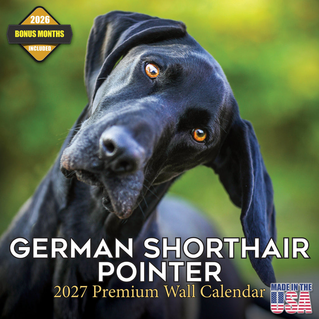 German Shorthaired Pointer Wall Calendar 2027 - 12" x 12" Monthly Athletic GSP Pointer & Liver Ticked Gundog Calendar