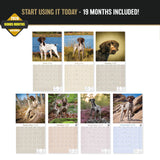 German Shorthaired Pointer Wall Calendar 2027 - 12" x 12" Monthly Athletic GSP Pointer & Liver Ticked Gundog Calendar