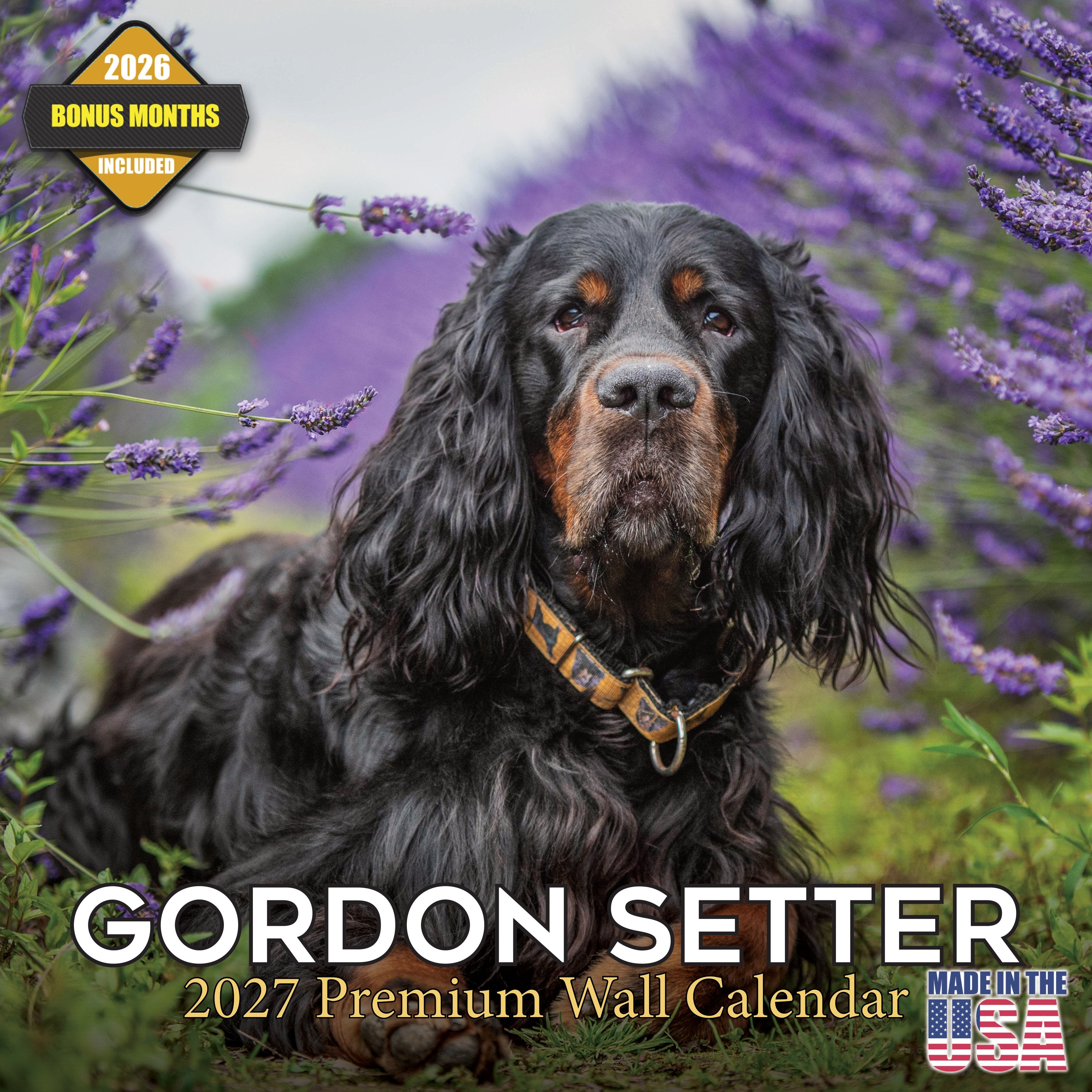 Golden Retriever Wall Calendar 2027 - 12