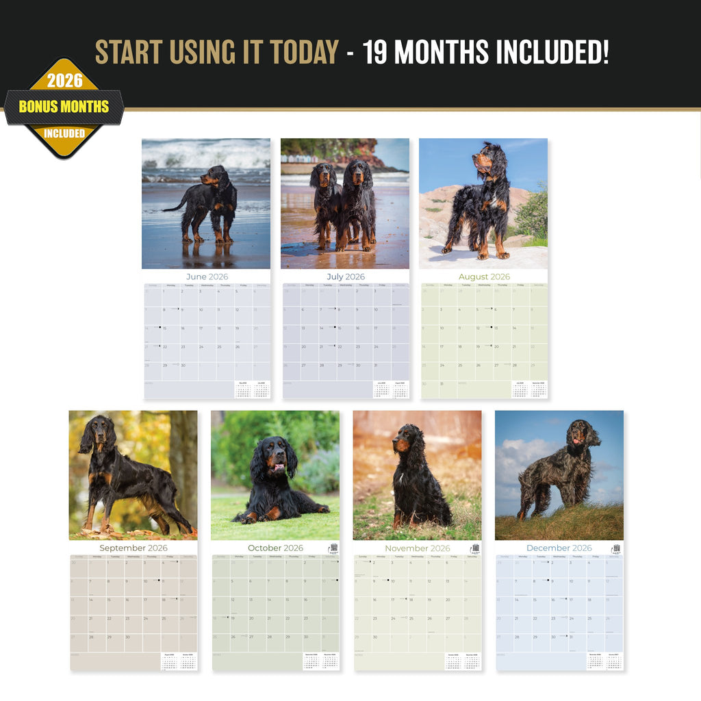 Golden Retriever Wall Calendar 2027 - 12" x 12" Monthly Friendly & Devoted Golden Lab Sporting Breed Calendar