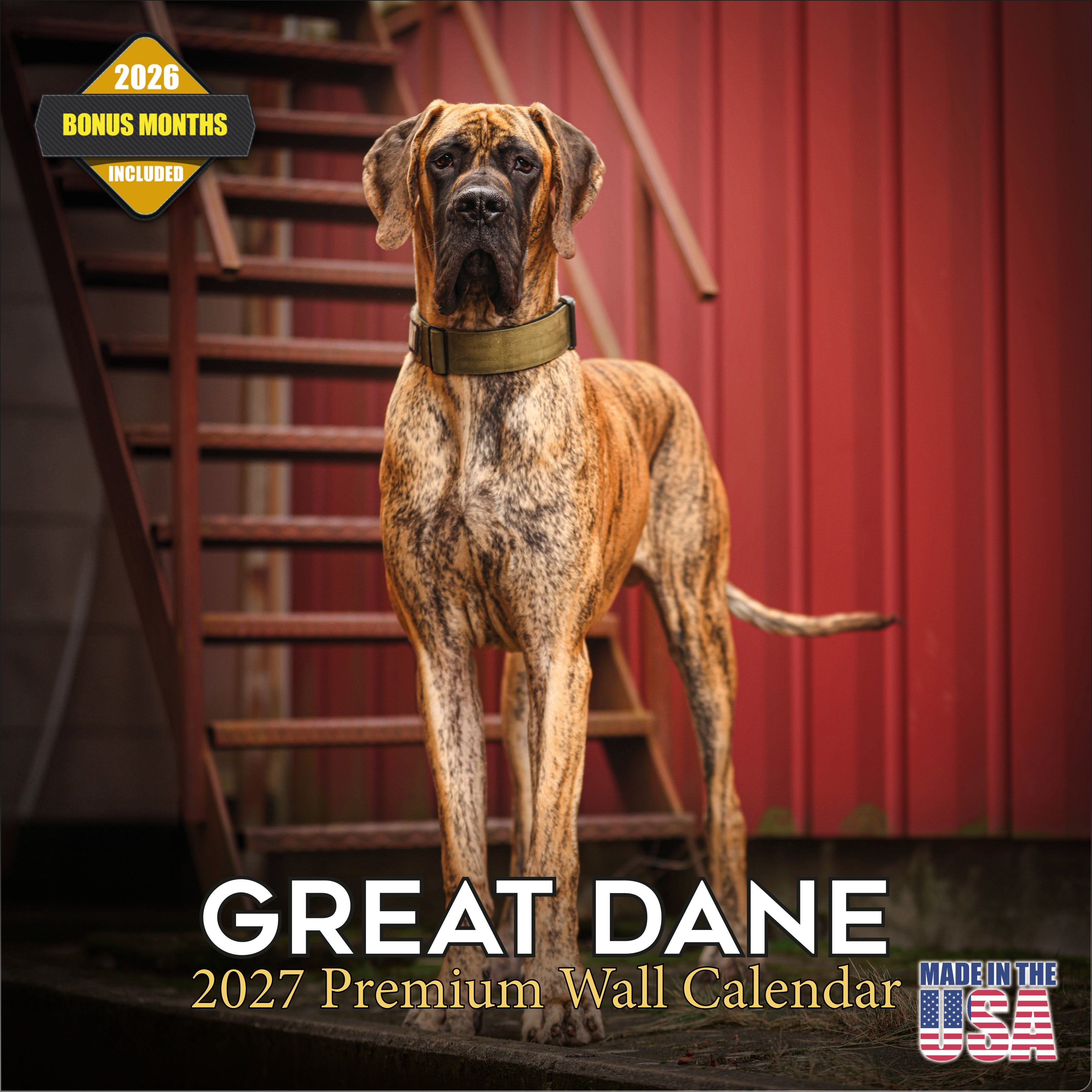 Great Dane Wall Calendar 2027 - 12
