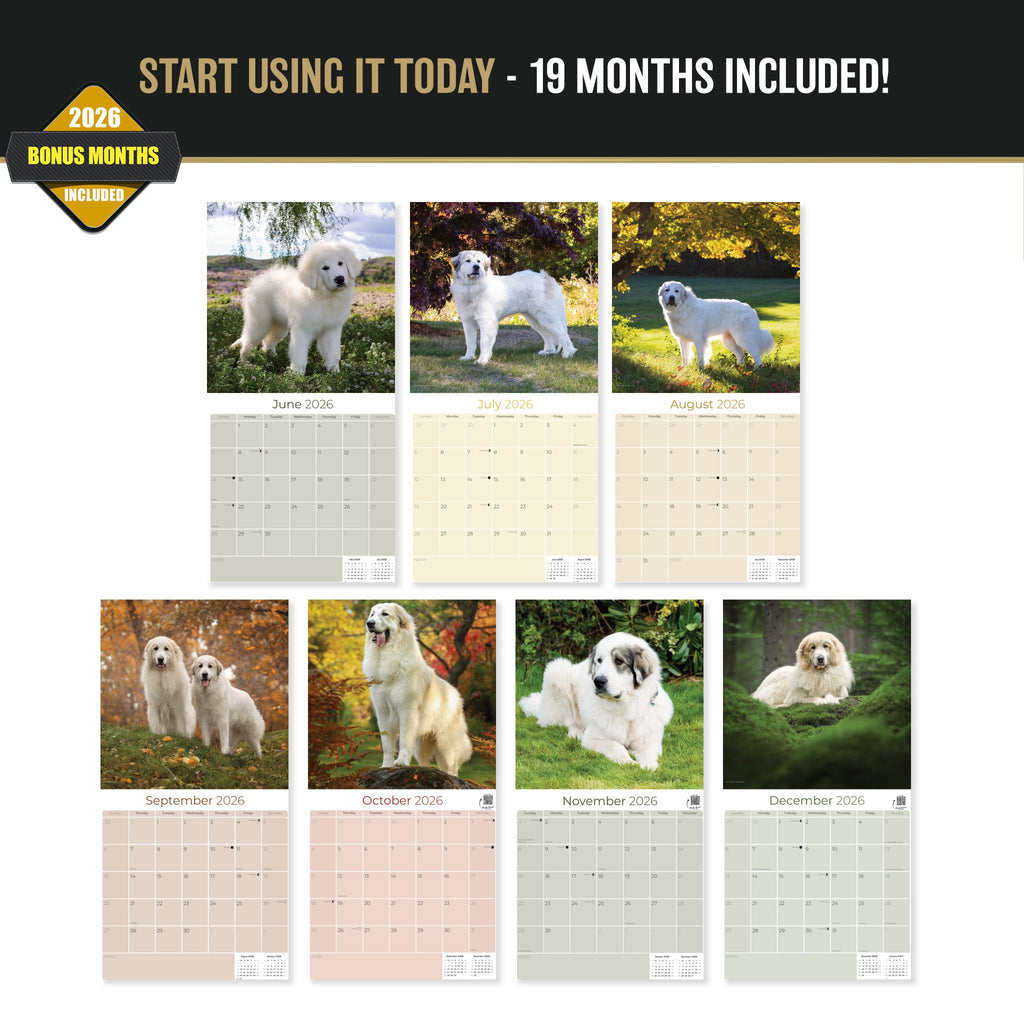 Great Pyrenees Wall Calendar 2027 - 12" x 12" Monthly Noble Pure-White Livestock Guardian Mountain Dog Calendar