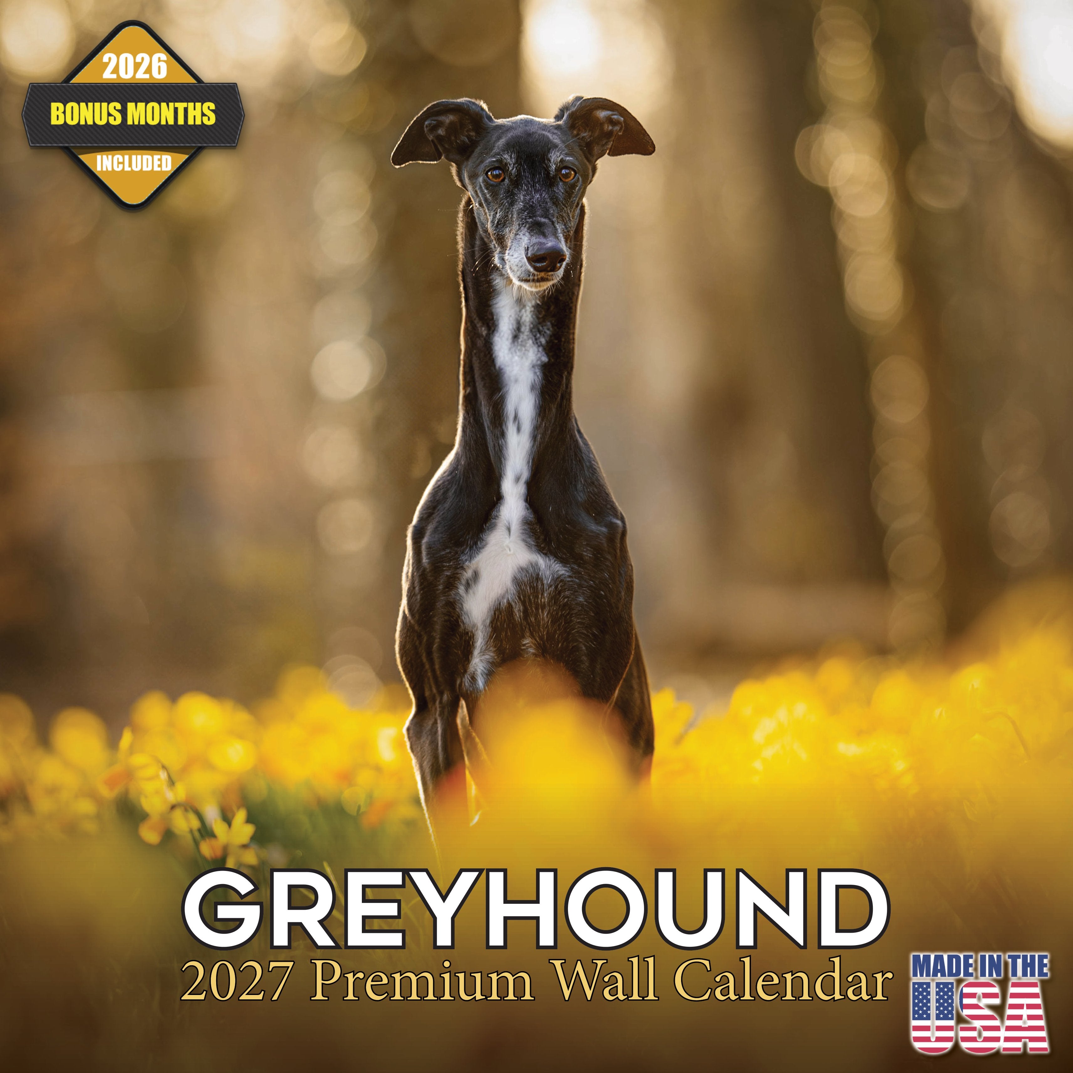 Greyhound Wall Calendar 2027 - 12