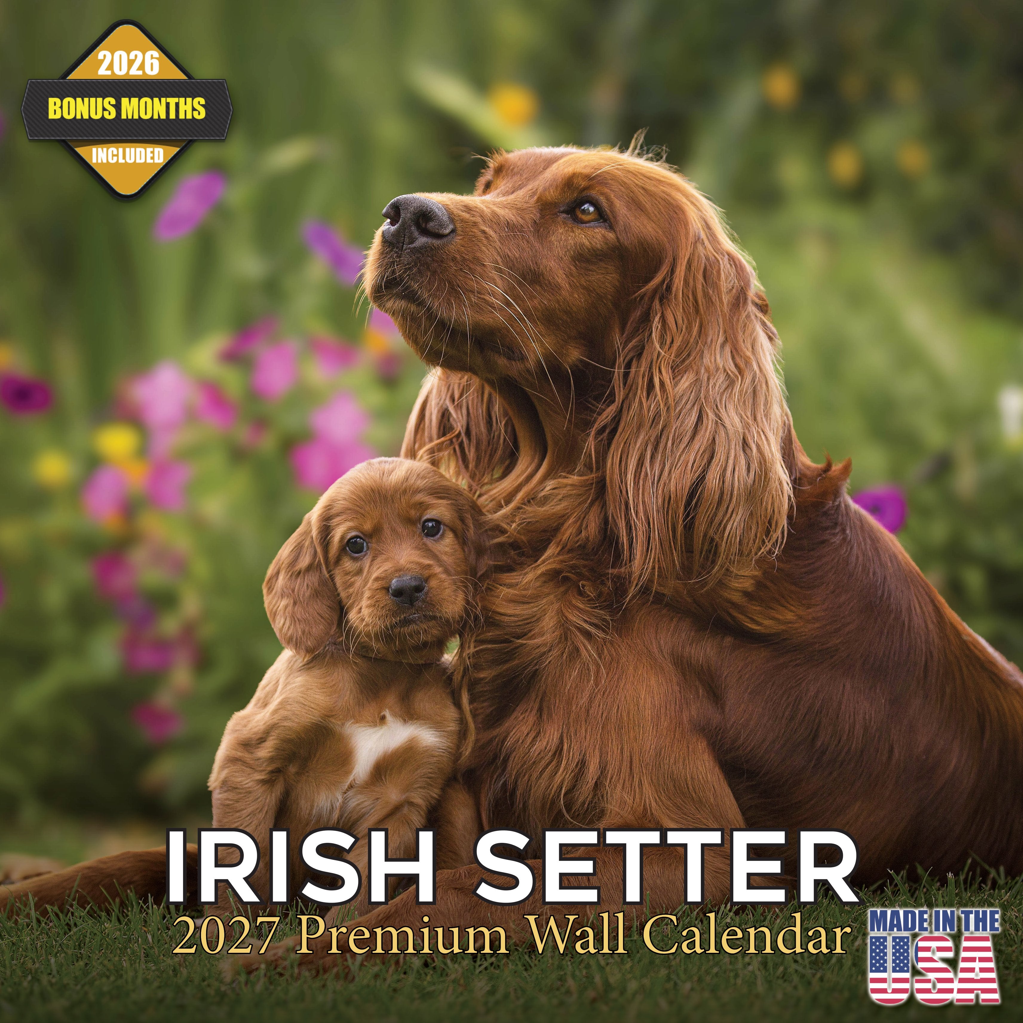 Irish Setter Wall Calendar 2027 - 12