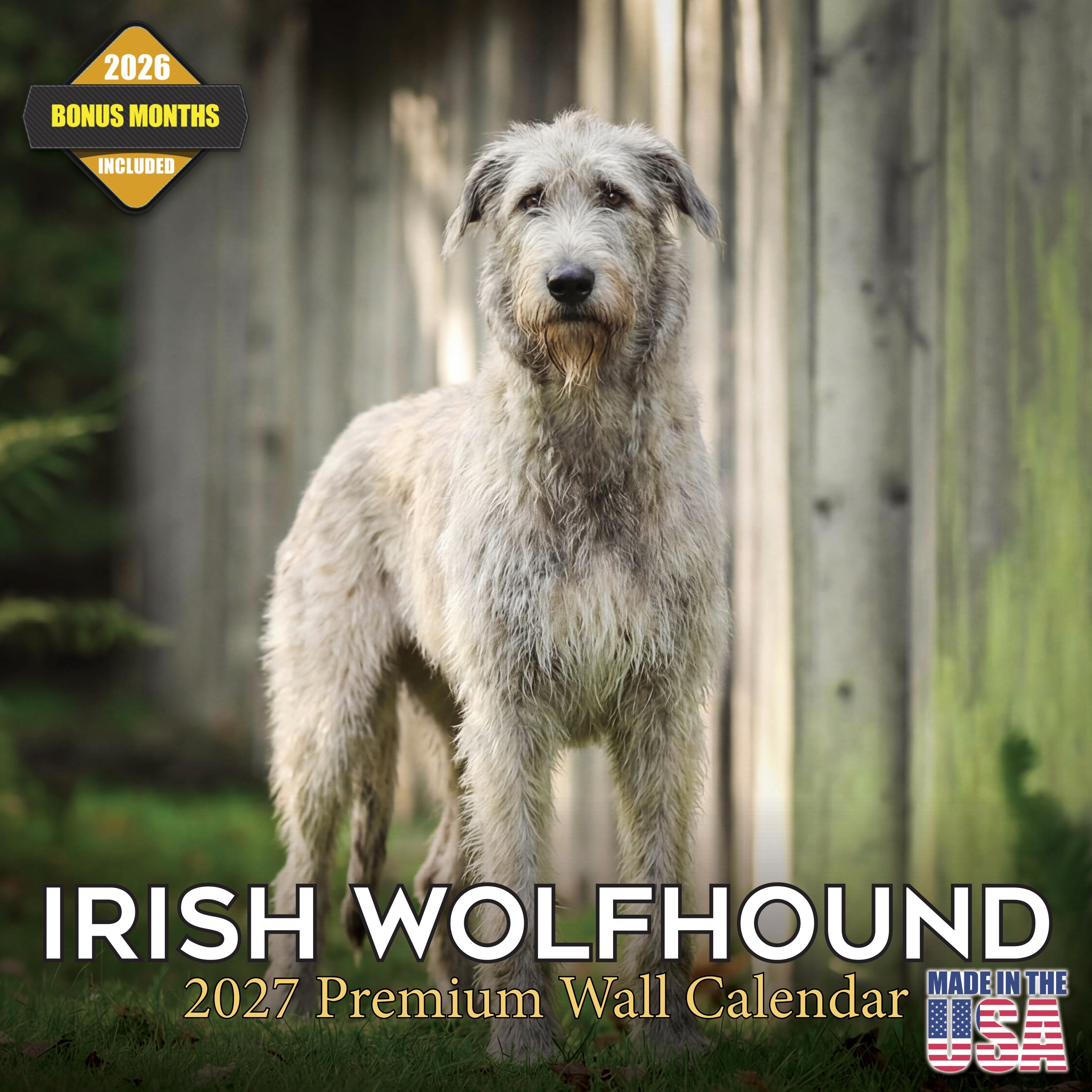 Irish Wolfhound Wall Calendar 2027 - 12