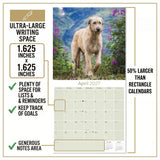 Irish Wolfhound Wall Calendar 2027 - 12" x 12" Monthly Noble Giant & Wire-Coated Sighthound Breed Calendar