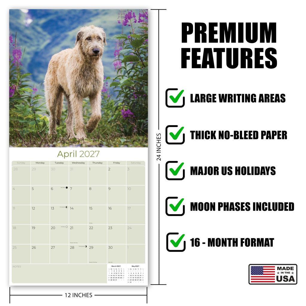 Irish Wolfhound Wall Calendar 2027 - 12" x 12" Monthly Noble Giant & Wire-Coated Sighthound Breed Calendar