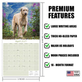 Irish Wolfhound Wall Calendar 2027 - 12" x 12" Monthly Noble Giant & Wire-Coated Sighthound Breed Calendar